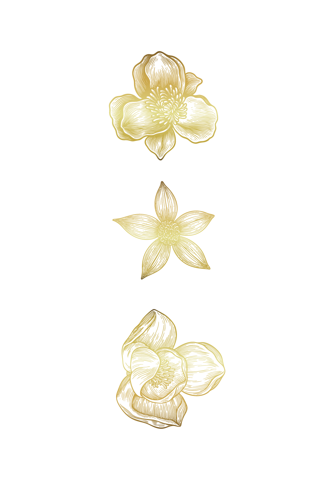 etching_victoria_flowers_light